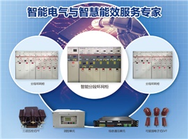 什么是智能分段環(huán)網柜？一圖告訴您！